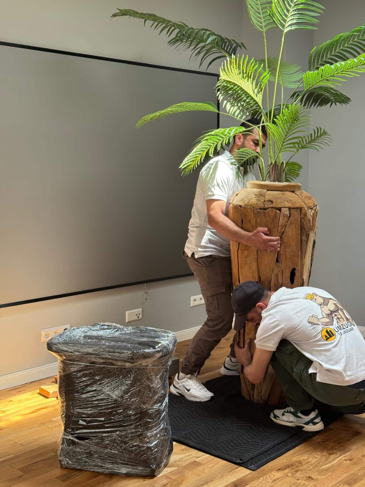 Zwei Männer heben vorsichtig einen großen hölzernen Übertopf mit einer hohen grünen Pflanze darin an. In der Nähe liegt ein verpackter Gegenstand auf dem Boden. Die Szene, die möglicherweise bei einem Seniorenumzug in Leipzig entstanden ist, deutet auf einen Umzug in einem Haus oder eine Umstellung der Möbel hin. - Umzug TB Jaguar Leipzig